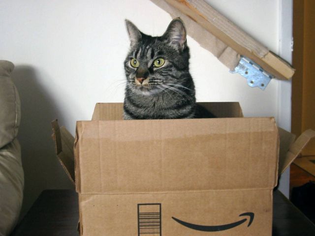 Домик для кошки из коробки