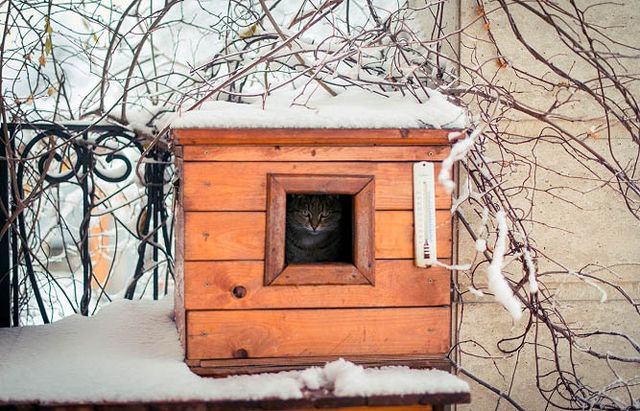 Как сделать теплый дом для кошек