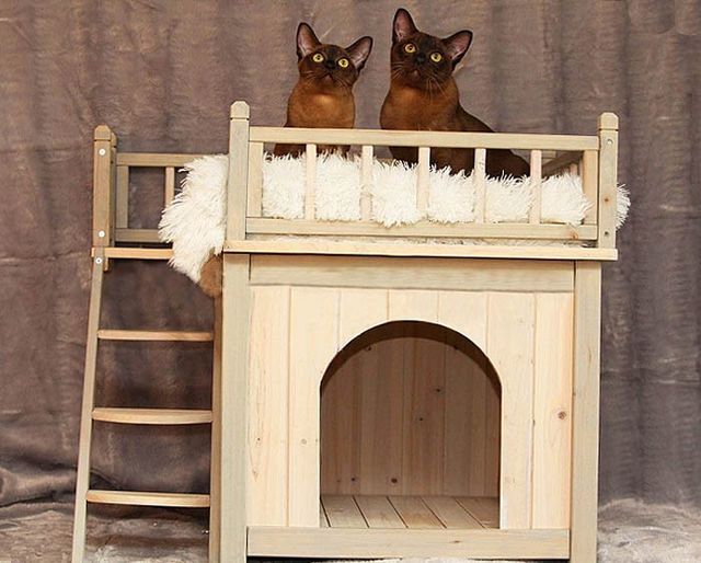 Зимний домик для кошки своими руками